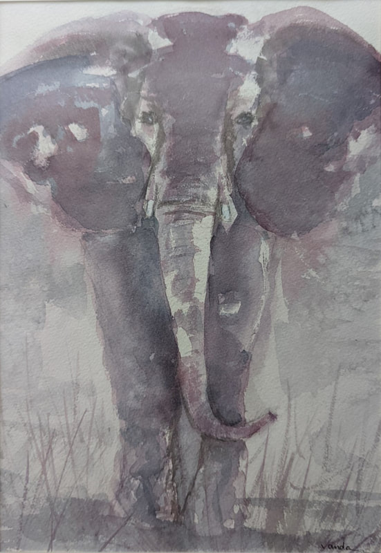 grey elephant