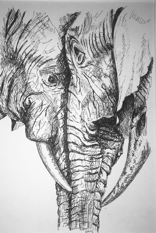 Illustration of two elephants